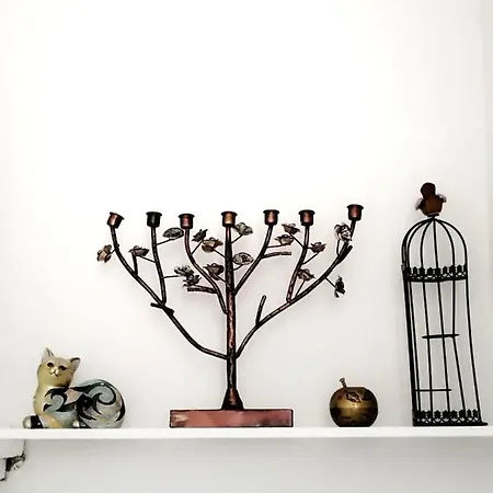 With Garden Hanja * موستار