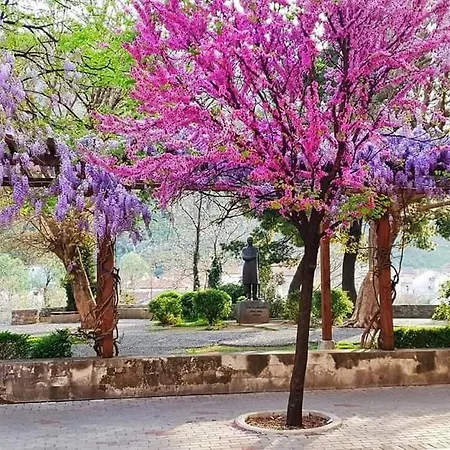 With Garden Hanja Daire Mostar
